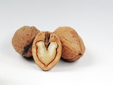 Ceviz, beyaz arka plan üzerinde izole