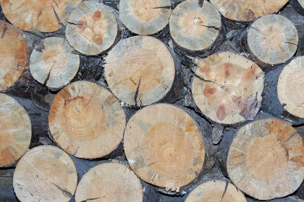Αποκόπηκαν και συσκευασμένα έτοιμα ξύλα για τη φωτιά — Φωτογραφία Αρχείου