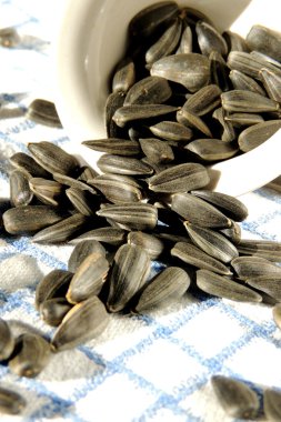 Ayçiçeği tohumu. Tohumlar 