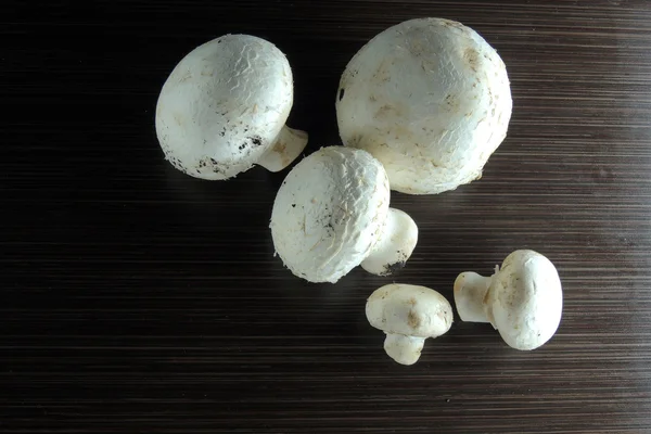 Champignon sur fond en bois — Photo