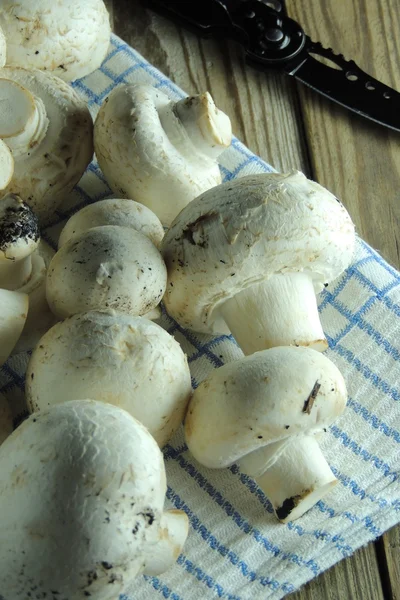 Mushrooms on a napkin. — Stock Photo, Image