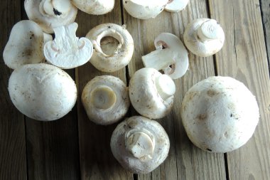 Ahşap zemin üzerinde mantar