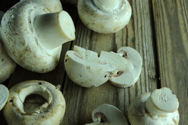 Pilz auf Holzgrund — Stockfoto