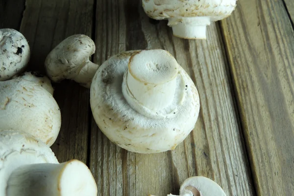 Pilz auf Holzgrund — Stockfoto