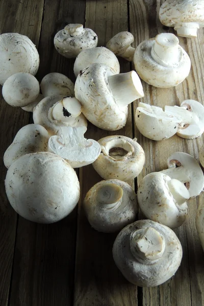 Pilz auf Holzgrund — Stockfoto