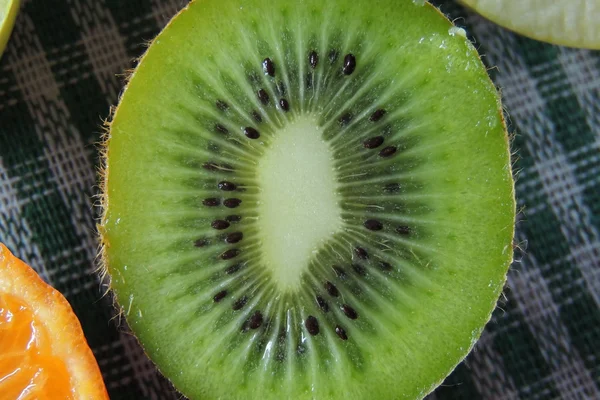 Kiwi aus nächster Nähe — Stockfoto