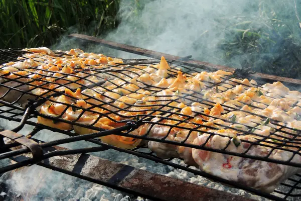 La carne alla griglia — Foto Stock