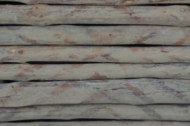 Ahşap arka plan. Ağaç