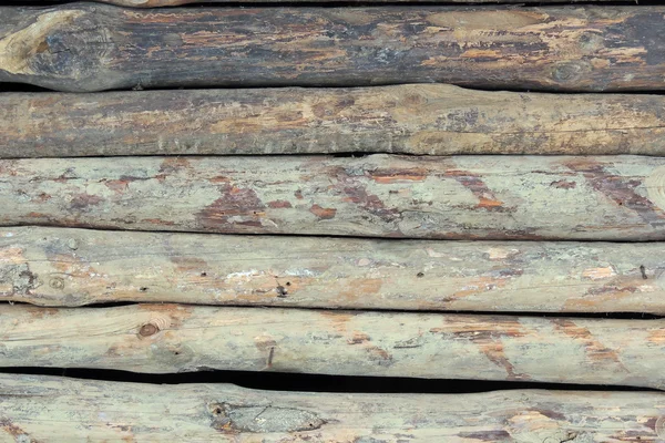 Lo sfondo di legno. Albero — Foto Stock