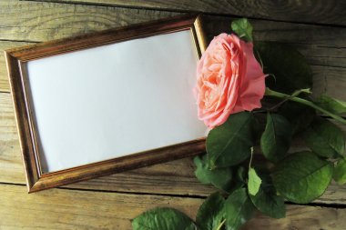 Resim çerçevesi ve rose, 8 Mart