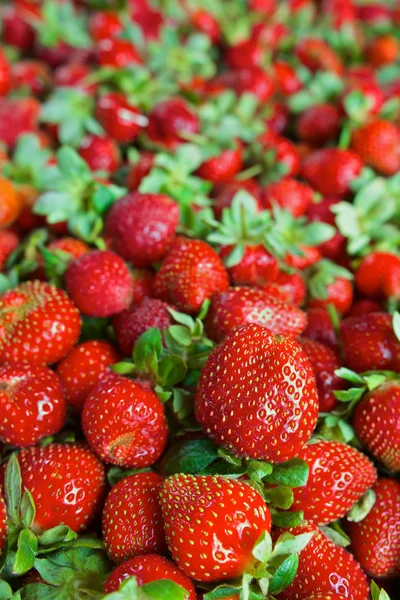 Seamless texture of juicy strawberries — Stock Photo, Image