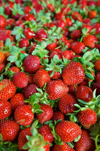 Seamless texture of juicy strawberries — Stock Photo, Image