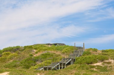 Yeşil tepe üzerinde eski ahşap ledder