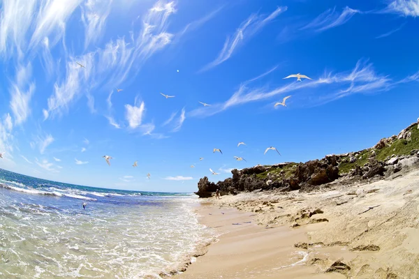 Fish-eye view on tropical beach and ocean — Stock Photo, Image