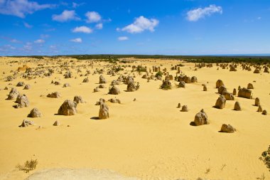 Pinnacles Çölü Batı Avustralya