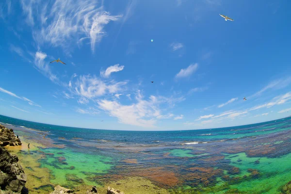 Vue panoramique sur la plage tropicale et l'océan — Photo