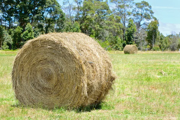 Campi rurali australiani con pagliai e cielo blu — Foto Stock