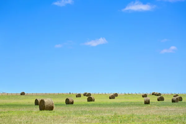 Австралийский сельский пейзаж с стогами сена и голубым небом — стоковое фото