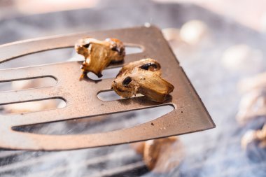 Izgara champignon kafamız spatula ile Buhar ve su damlaları