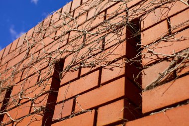 Mavi gökyüzü üzerinde tuğla duvar