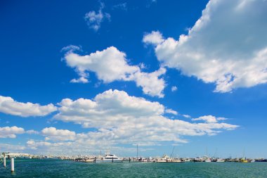 Güzel bir günde Yelkenli tekneler Marina