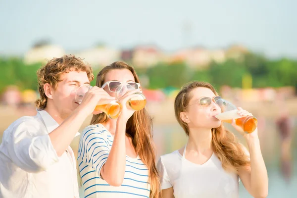 해변에서 맥주를 마시는 행복 한 젊은 사람들의 그룹  