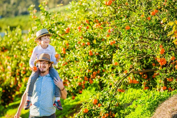 Mutlu baba genç oğlu ile iyi eğlenceler narenciye çiftliğinde 