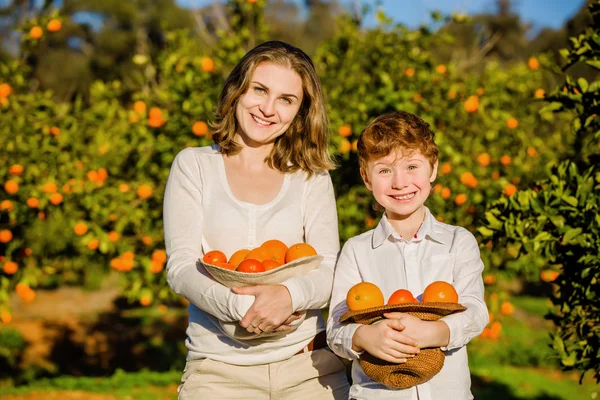Smiling happy mother and son hold oranges in their hats on citrus farm — 图库照片