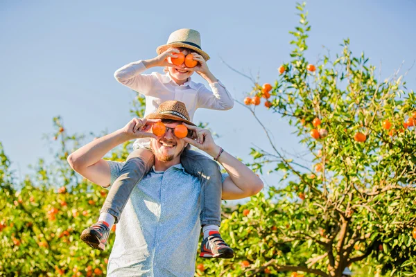 Gelukkig vader met zijn jonge zoon hebben plezier op citrusplantage — Stockfoto