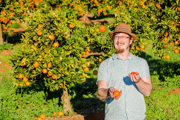 Cheerful young man juggling oranges on citrus farm — Stock fotografie