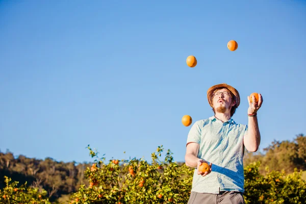 Cheerful young man juggling oranges on citrus farm — Stock fotografie