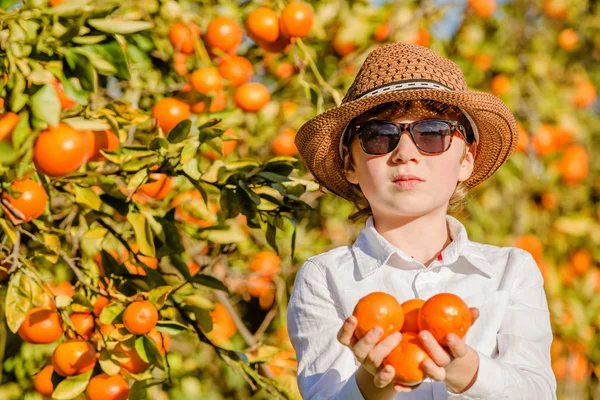 Retrato de atraente menino bonito segurando mandarinas na fazenda de citrinos no dia ensolarado de verão — Fotografia de Stock