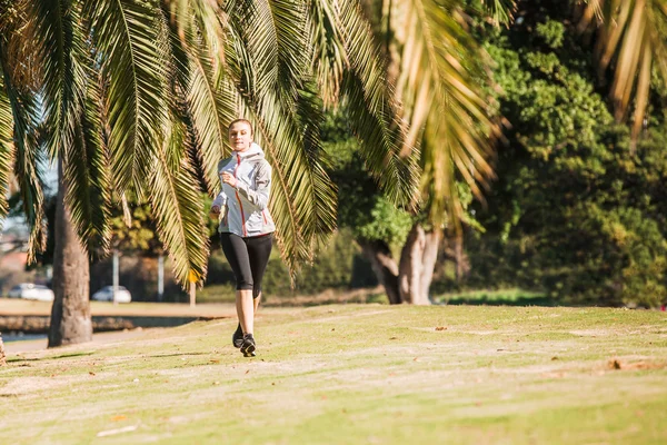 Zdrowy styl życia młodej kobiety sportowy joggingu w tropikalnym parku wzdłuż palmy Obraz Stockowy