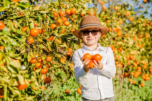 Portrét atraktivní roztomilý mladý chlapec drží mandarinky na citrusové farmě slunečný letní den — Stock fotografie