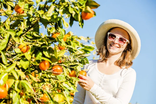 Kaukasische meisje oogsten mandarijnen en sinaasappelen in biologische boerderij — Stockfoto