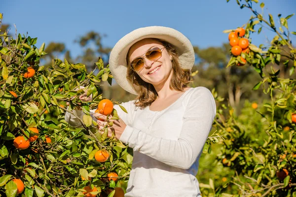 Menina caucasiana colhendo tangerinas e laranjas na fazenda orgânica — Fotografia de Stock