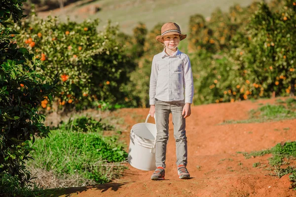 Usmívající se zdravý chlapec na citrusové farmě držení lžíce připravené k vyzvednutí pomerančů, mandarinek a citronů — Stock fotografie