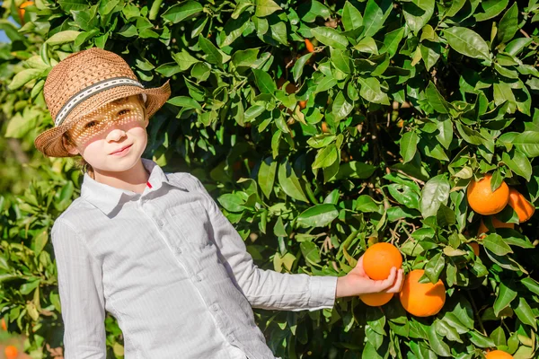 Vonzó aranyos fiatal fiú szedés mandarin-citrus telepen napsütéses nyári napon portréja — Stock Fotó