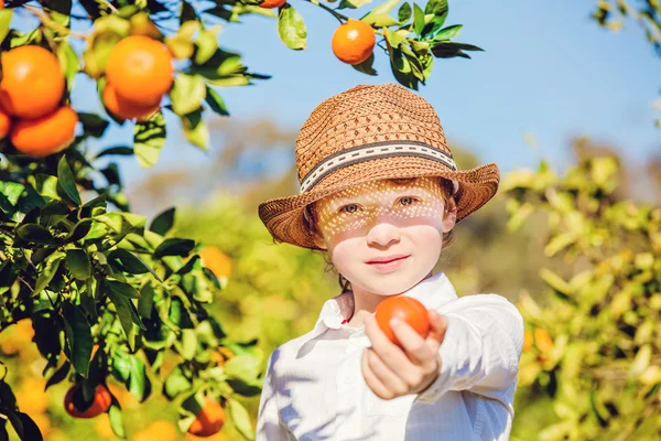 Vonzó aranyos fiatal fiú szedés mandarin-citrus telepen napsütéses nyári napon portréja — Stock Fotó