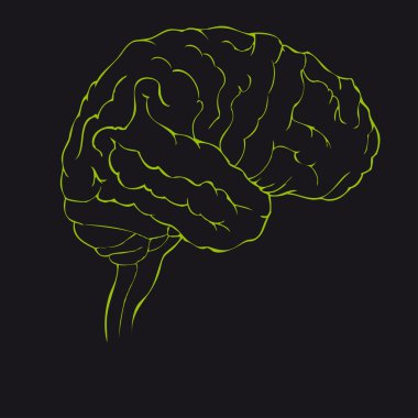 Beyin yeşil yan görünümü