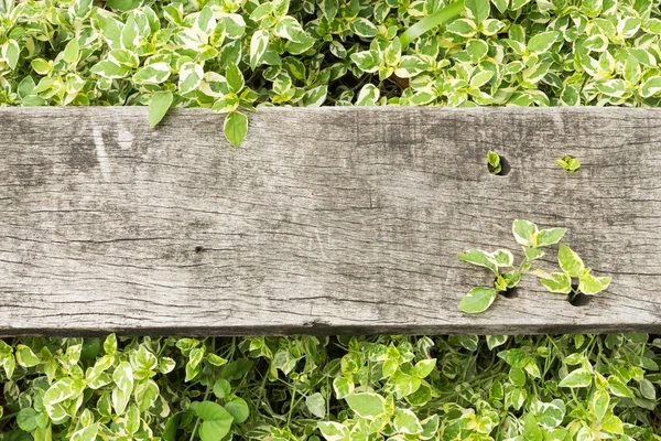 Old wood on leaf background — Stock Photo, Image