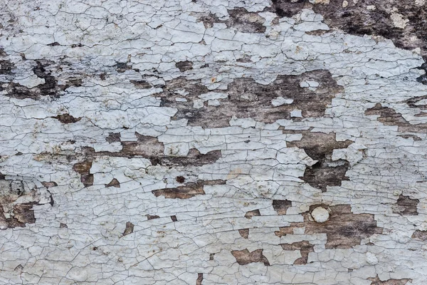 Fechar grão velho textura de madeira fundo — Fotografia de Stock