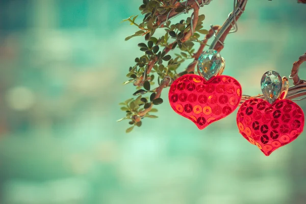 Ağaç kalp aşk sembolü