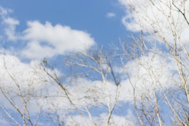 doğa sonbahar sezonunun arka plan bulanıklık