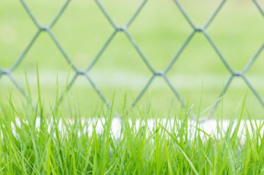 yeşil çim ve çit arka plan