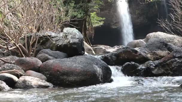 Skönhet vattenfall i naturen — Stockvideo
