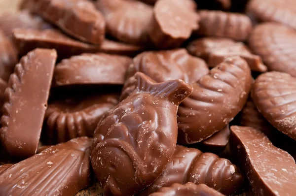 Асортимент шоколадних цукерок у формі мушлі — стокове фото