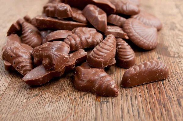 Асортимент шоколадних цукерок у формі мушлі — стокове фото