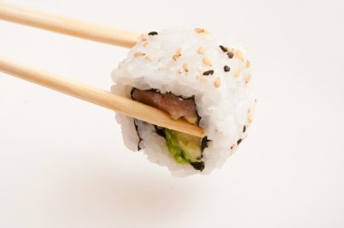 Beyaz arka plan üzerinde çubuk üzerinde Maki