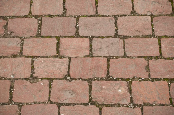 Red cobbles texture — Stock Photo, Image